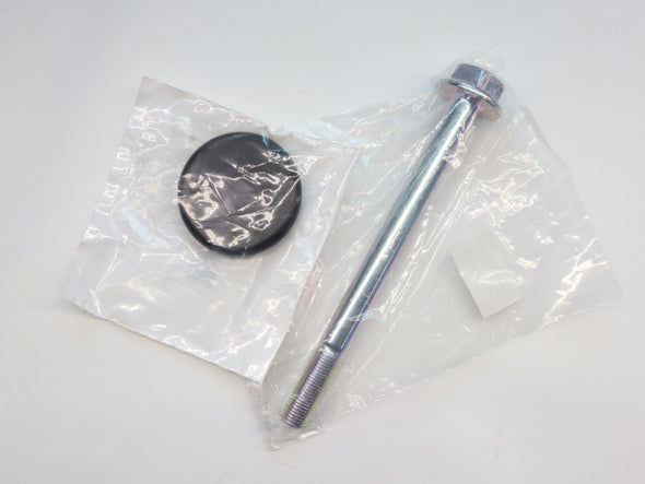FBT Primary Clutch Bolt and Cap